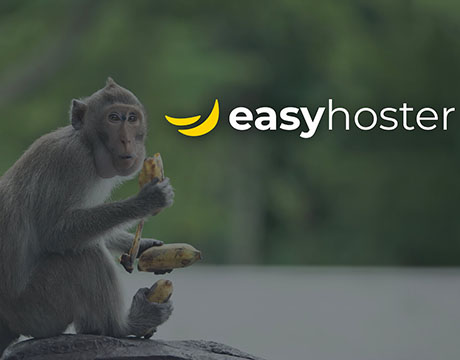 easyhoster-hebergeur-WordPress