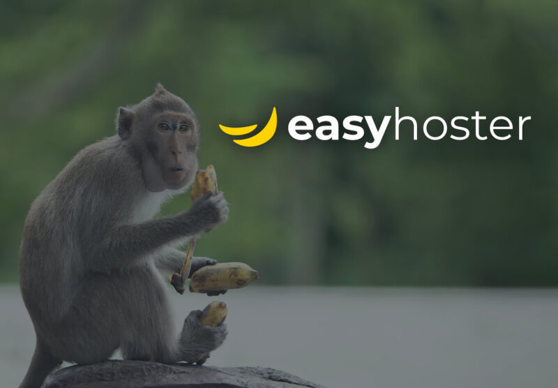 easyhoster-hebergeur-WordPress