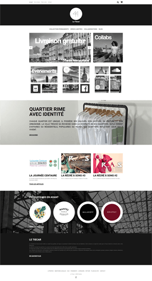 boutique-woocommerce-le-tiecar-1-page-accueil-apercu