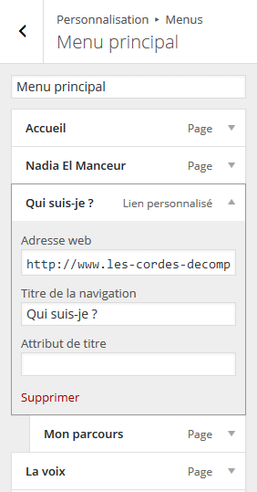 menu-outil-personnalisation-wordpress