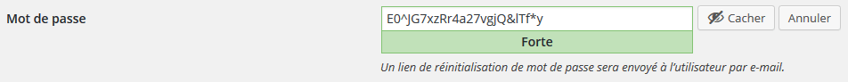 securite-mot-de-passe-wordpress