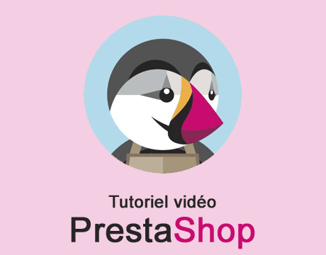 https://www.creanico.fr/wp-content/uploads/tutoriel-video-prestashop.png