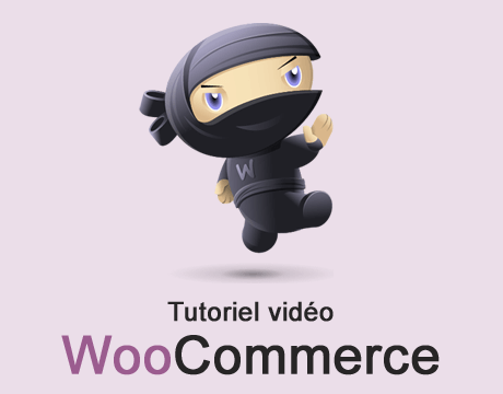 https://www.creanico.fr/wp-content/uploads/tutoriel-video-woocommerce.png