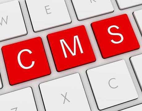 Découvrez toutes les possibilités des CMS et de Wordpress